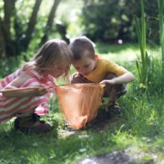 Nature-Based Education at Newtown Discovery Preschool